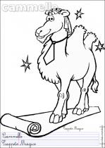 coloriage-chameau-2